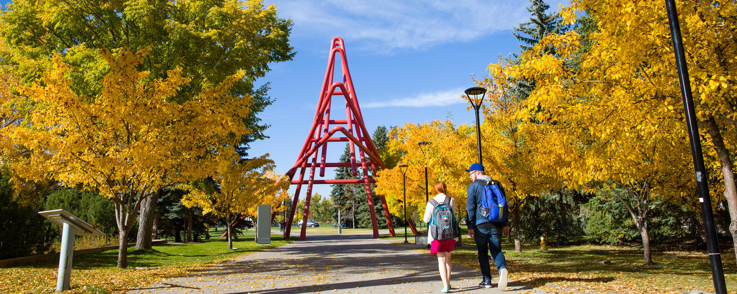 Campus in the fall