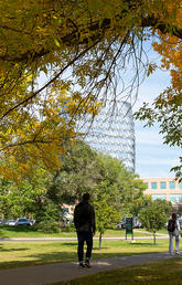 UCalgary campus