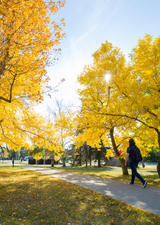 UCalgary main campus during fall