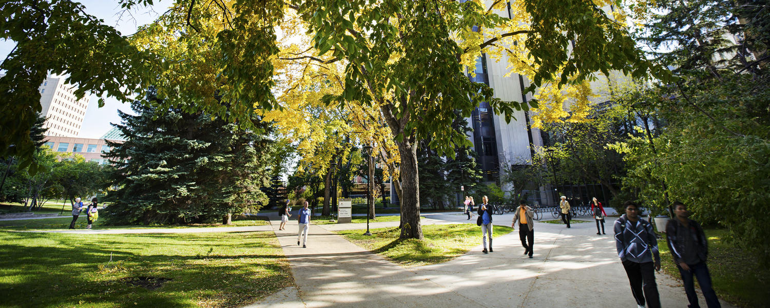 campus in the spring