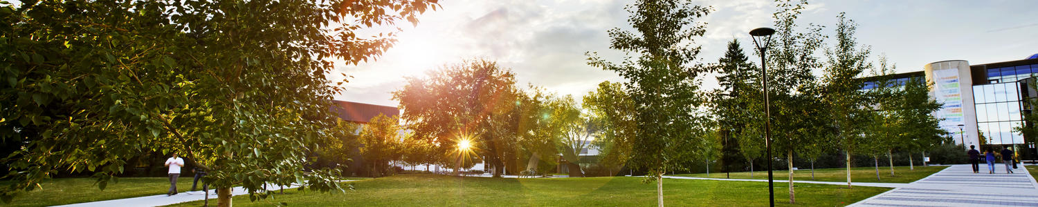 campus sunrise