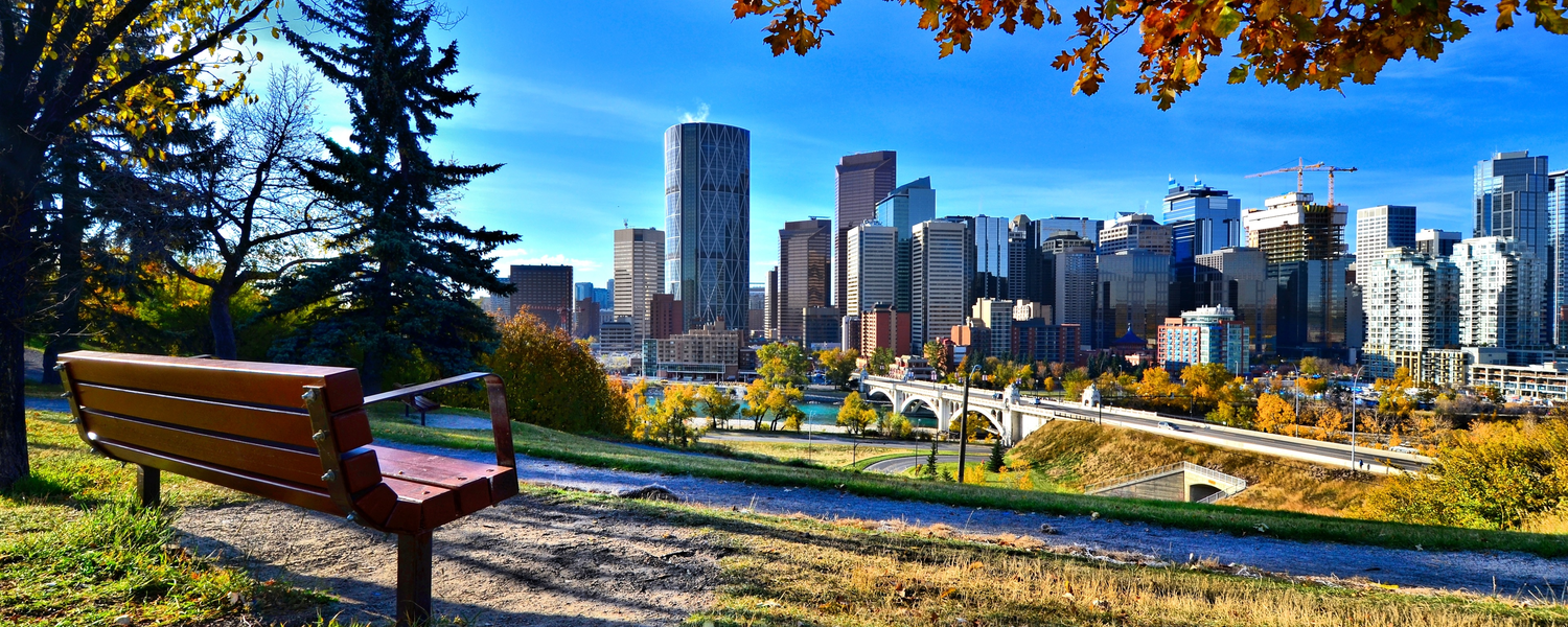 Bench overlooking Calgary